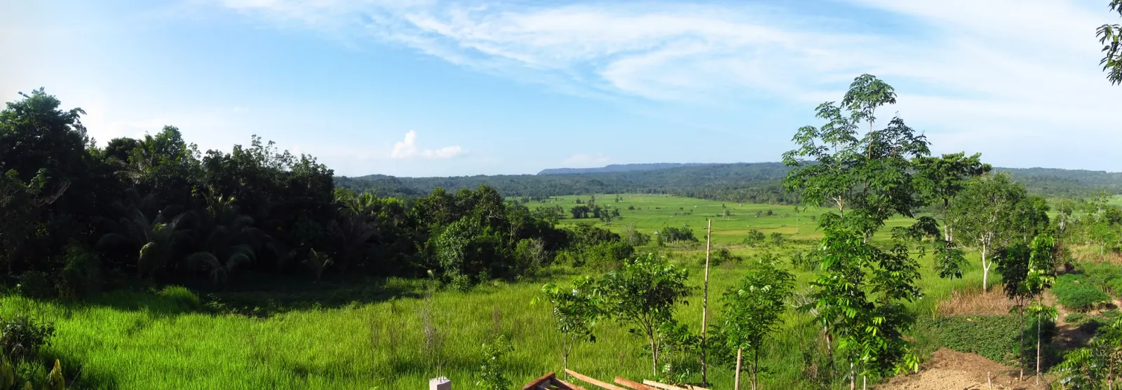 Ausblick auf Umland und Reisfelder um die Villa